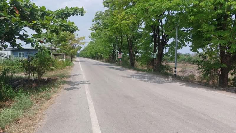 บางปลากด, นครนายก, บางปลากด, องครักษ์, นครนายก, 3,200 ตร.ม., ที่ดิน ขาย, โดย รชตวัน บุญประสิทธิ์, 500477534 - DDproperty.com