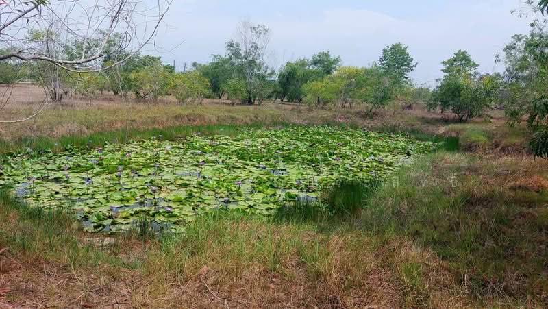 บางปลากด, Nakhon Nayok, Bang Pla Kot, Ongkharak, Nakhon Nayok, , 3,200 sqm, Land For Sale, by รชตวัน บุญประสิทธิ์, 500477534 - DDproperty.com