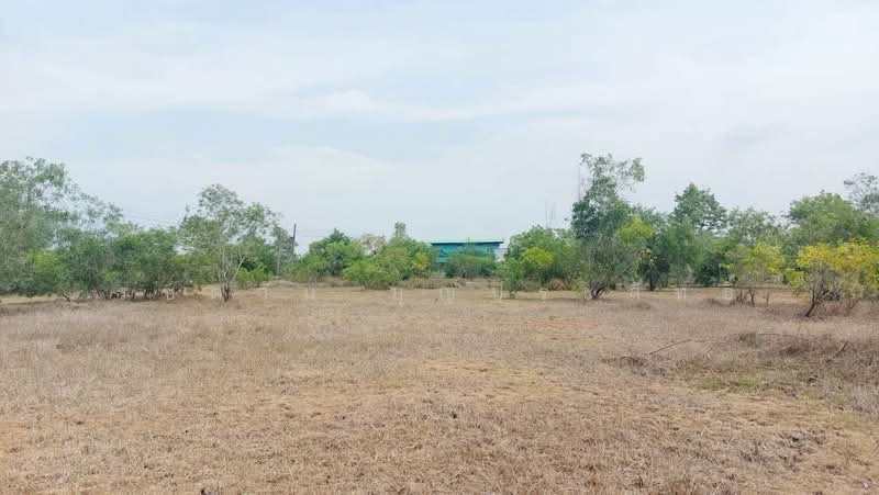 บางปลากด, Nakhon Nayok, Bang Pla Kot, Ongkharak, Nakhon Nayok, , 3,200 sqm, Land For Sale, by รชตวัน บุญประสิทธิ์, 500477534 - DDproperty.com
