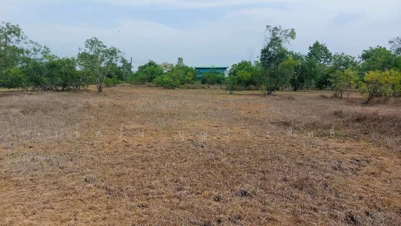 บางปลากด, Nakhon Nayok, Bang Pla Kot, Ongkharak, Nakhon Nayok, , 3,200 sqm, Land For Sale, by รชตวัน บุญประสิทธิ์, 500477534 - DDproperty.com