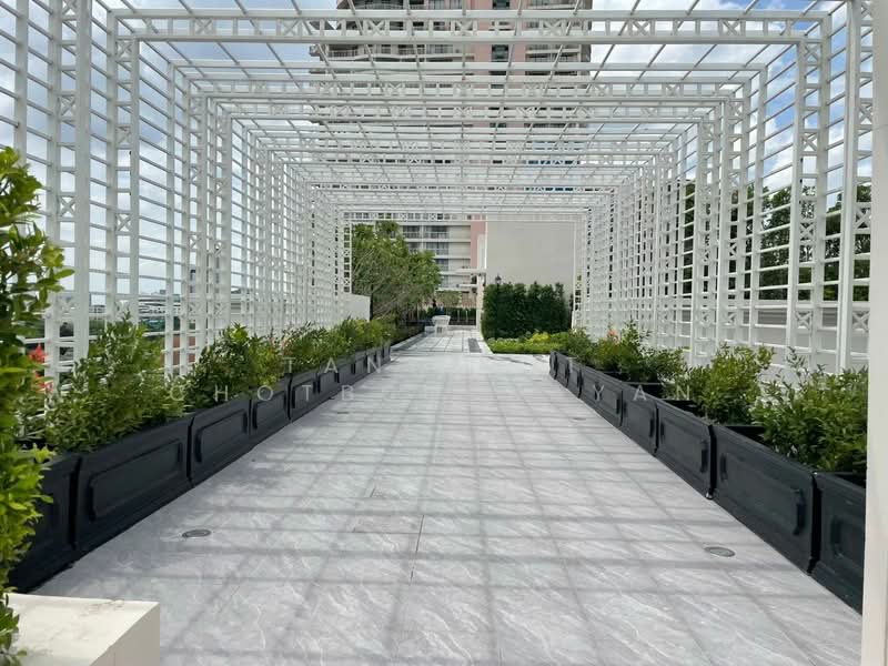 Chateau in Town Ratchayothin, Bangkok, Soi Phahonyothin 30, Chan Kasem, Chatuchak, Bangkok, 1 Bedroom, 25 sqm, Condo For Sale, by Tanakrit Chotbuddkayan, 500477547 - DDproperty.com
