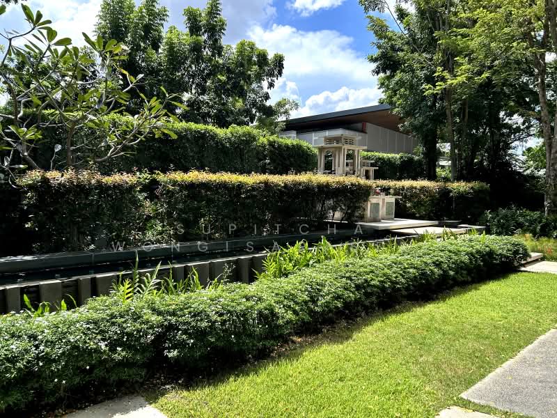 333 Riverside, Bangkok, 333 Pracharat Sai 2, Bang Sue, Bangkok, 1 Bedroom, 47 sqm, Condo For Sale, by Supitcha Wongisaraseri, 500477561 - DDproperty.com