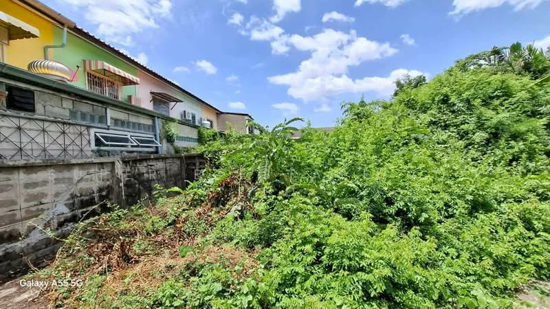 ที่ดิน กาญจนาภิเษก 8, Bangkok, กาญจนาภิเษก, Bang Khae, Bangkok, , 1,600 sqm, Land For Sale, by Super B Estate Co., Ltd, 500477605 - DDproperty.com