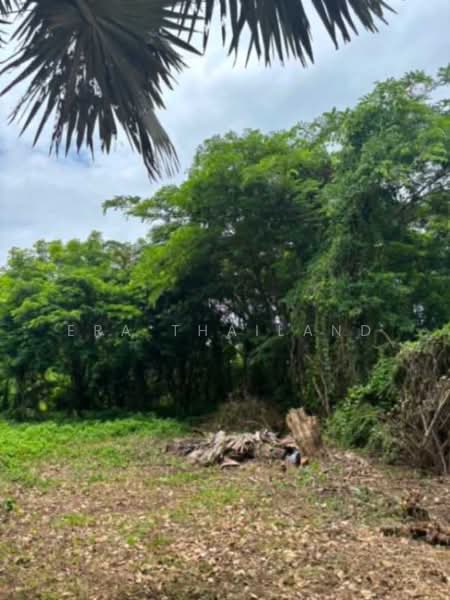 ขายที่ดินในโครงการ จัสมิน ฮิลล์ ลอดจ์, Chiang Mai, Choeng Doi, Doi Saket, Chiang Mai, , 3,844 sqm, Land For Sale, by ERA Thailand, 500477615 - DDproperty.com