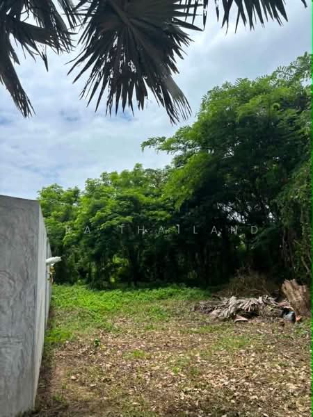 ขายที่ดินในโครงการ จัสมิน ฮิลล์ ลอดจ์, Chiang Mai, Choeng Doi, Doi Saket, Chiang Mai, , 3,844 sqm, Land For Sale, by ERA Thailand, 500477615 - DDproperty.com