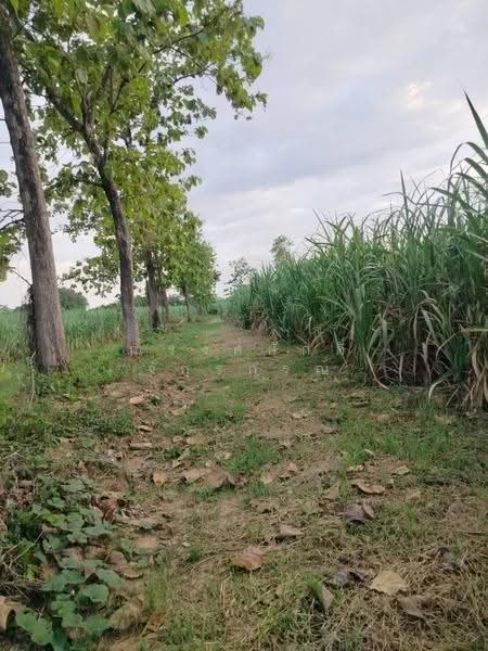 ขาย ที่ดินเพื่อการเกษตร ตั้งอยู่ในพื้นที่ ชลประทาน มีน้ำตลอดปี 15-2-40 ไร่ ต.คอรุม อ.พิชัย, อุตรดิตถ์, คอรุม, พิชัย, อุตรดิตถ์, 24,960 ตร.ม., ที่ดิน ขาย, โดย ณรงค์ศักดิ์ จักรกรณ์, 500477622 - DDproperty.com