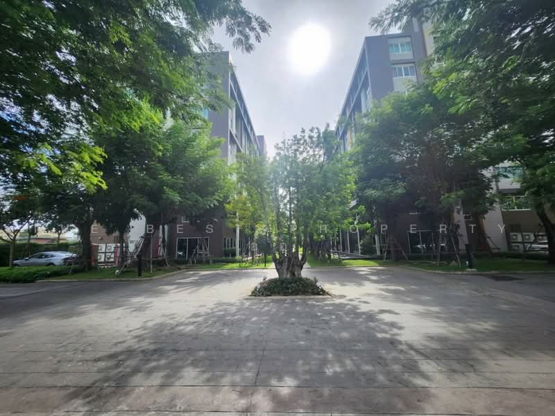 Dcondo Campus Resort Bangna : ดีคอนโด แคมปัส รีสอร์ท บางนา, สมุทรปราการ, ซอยเอแบคบางนา ถนนบางนา-ตราด กม. 26, บางบ่อ, บางบ่อ, สมุทรปราการ, 30 ตร.ม., คอนโด ขาย, โดย The Best Property อ้อ, 500477634 - DDproperty.com