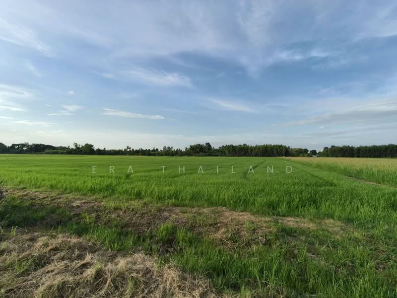ที่ดินแปลงสวยเนื้อที่8 ไร่กว่า ใกล้ม.นเรศวร, Phitsanulok, Wat Phrik, Muang Phitsanulok, Phitsanulok, , 13,600 sqm, Land For Sale, by ERA Thailand, 500477757 - DDproperty.com