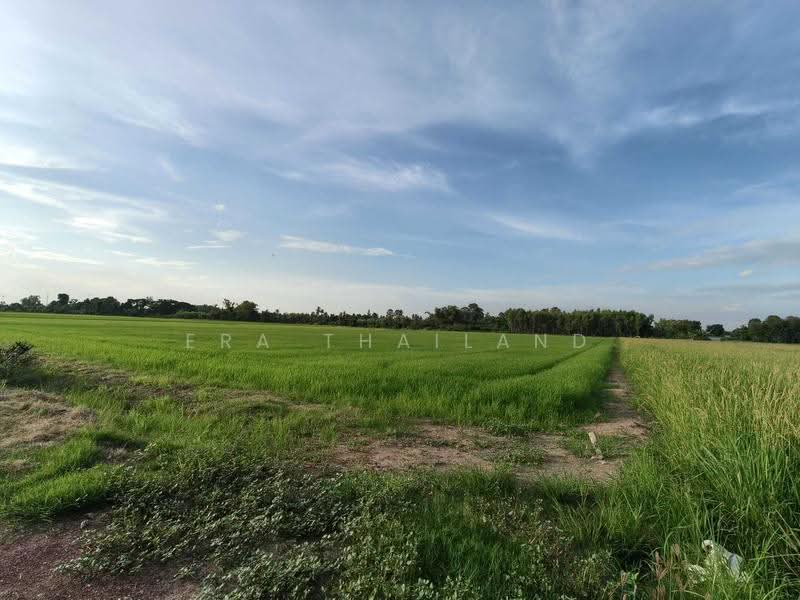 ที่ดินแปลงสวยเนื้อที่8 ไร่กว่า ใกล้ม.นเรศวร, Phitsanulok, Wat Phrik, Muang Phitsanulok, Phitsanulok, , 13,600 sqm, Land For Sale, by ERA Thailand, 500477757 - DDproperty.com