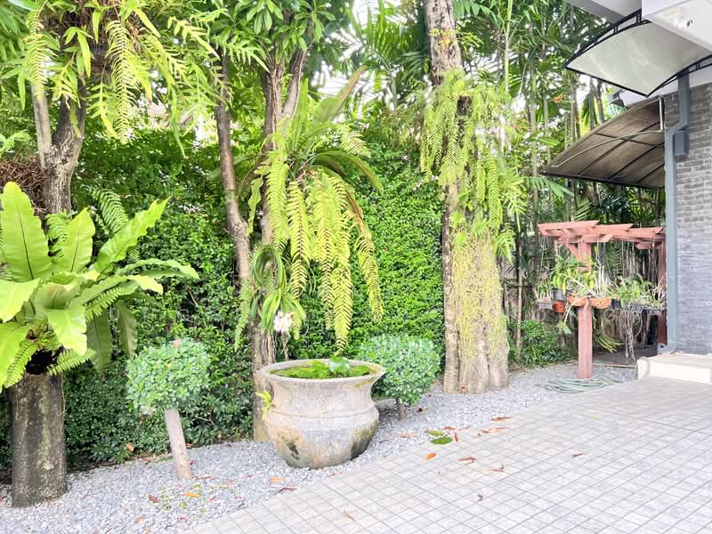 Golden Nakara, Bangkok, Soi On Nut 65, Prawet, Bangkok, 3 Bedrooms, 263 sqm, Single Detached House For Rent, by Trinnaya Dungsirisangthong, 500477817 - DDproperty.com