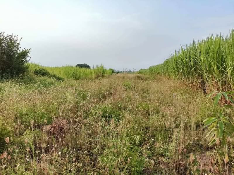ที่ดินเวียงยอง ลำพูน, Lamphun, Wang Phang, Wieng Nong long, Lamphun, , 3,192 sqm, Land For Sale, by The Best Property อัง, 500477862 - DDproperty.com