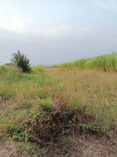 ที่ดินเวียงยอง ลำพูน, Lamphun, Wang Phang, Wieng Nong long, Lamphun, , 3,192 sqm, Land For Sale, by The Best Property อัง, 500477862 - DDproperty.com