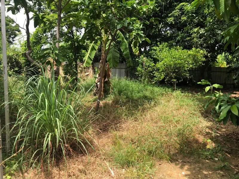 ที่ดินเปล่า ทำเล ซอยบรมไตรโลกนาถ, Phitsanulok, Nai Muang, Muang Phitsanulok, Phitsanulok, , 228 sqm, Land For Sale, by ERA Thailand, 500477873 - DDproperty.com