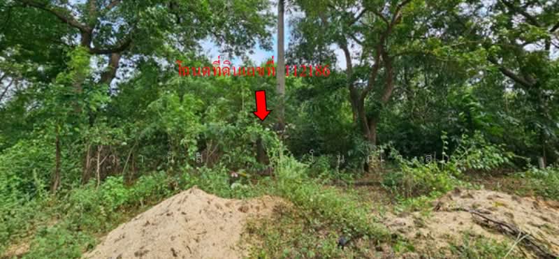 Uniland Golf and Resort, Nakhon Pathom, Wang Yen, Muang Nakhon Pathom, Nakhon Pathom, , 1,783 sqm, Land For Sale, by วานิสา ตโนภาส, 500477890 - DDproperty.com