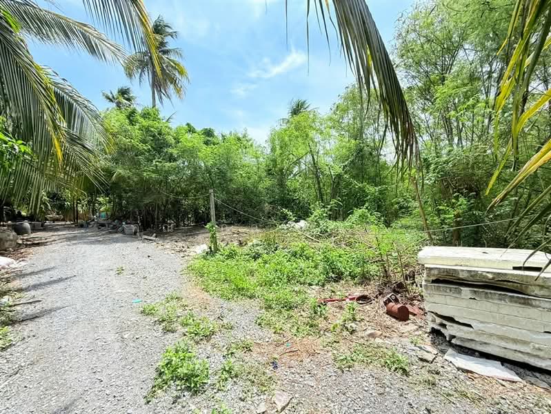 ที่ดินเปล่า 464 ตร.ว. ตรงข้ามศาลเจ้าแม่อาเนี้ยว ซอยกำนัน, Nakhon Pathom, Yai Cha, Sam Phran, Nakhon Pathom, , 1,856 sqm, Land For Sale, by คุณ ภัควรินธร อัครศักดิ์ปัญญา (แนน), 500477919 - DDproperty.com