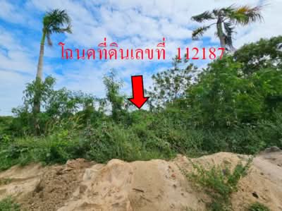 ขาย - ยูนิแลนด์กอล์ฟ แอน คันทรีคลับ, นครปฐม
