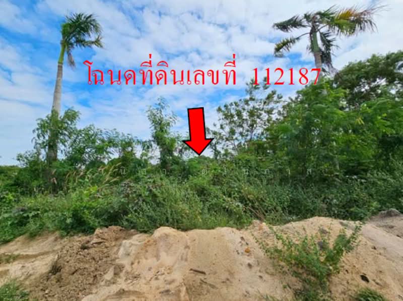 Uniland Golf and Resort, Nakhon Pathom, Wang Yen, Muang Nakhon Pathom, Nakhon Pathom, , 2,146 sqm, Land For Sale, by วานิสา ตโนภาส, 500477926 - DDproperty.com