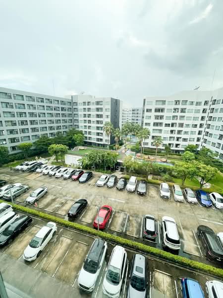 Elio Del Ray, Bangkok, 95 Sukhumvit 64 Road, Bang Chak, Phra Khanong, Bangkok, 1 Bedroom, 34 sqm, Condo For Sale, by Trinnaya Dungsirisangthong, 500477931 - DDproperty.com