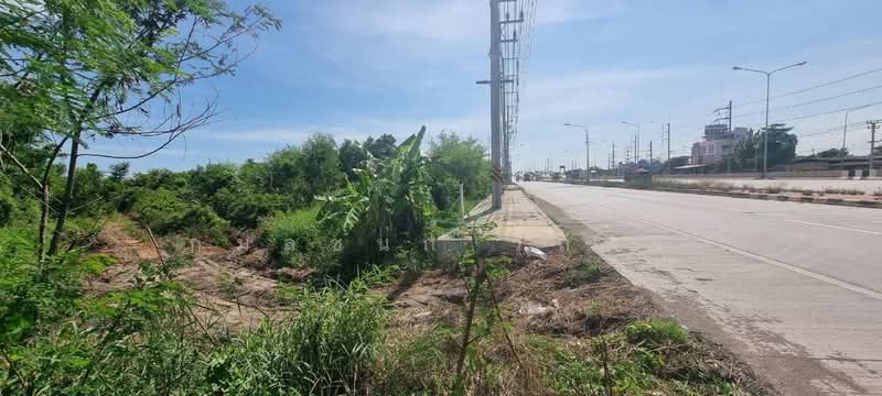 ขายที่ดิน แปลงใหญ่ ทำเลดี ใกล้ถนนหลัก เหมาะซื้อเก็บหรือพัฒนา, ฉะเชิงเทรา, บางตีนเป็ด, เมืองฉะเชิงเทรา, ฉะเชิงเทรา, 3,604 ตร.ม., ที่ดิน ขาย, โดย กมลชนก วิถีพร, 500477968 - DDproperty.com