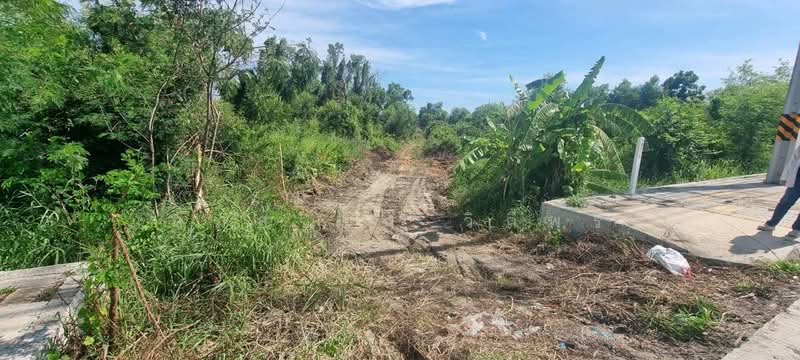 ขายที่ดิน แปลงใหญ่ ทำเลดี ใกล้ถนนหลัก เหมาะซื้อเก็บหรือพัฒนา, Chachoengsao, Bang Tin Pet, Muang Chachoengsao, Chachoengsao, , 3,604 sqm, Land For Sale, by กมลชนก วิถีพร, 500477968 - DDproperty.com