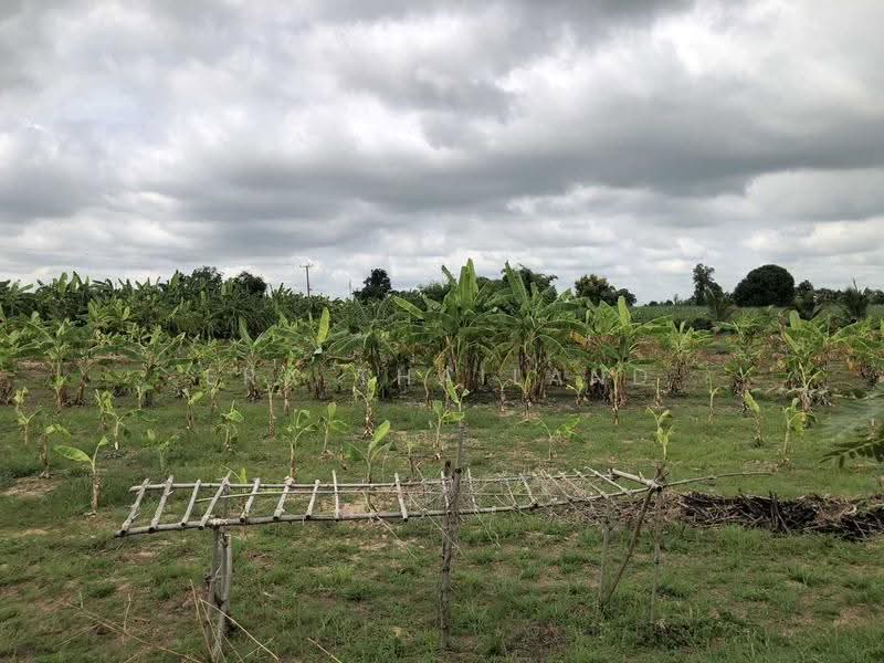 ขายบ้านเดี่ยว บนที่ดิน 6 ไร่, พิษณุโลก, ท่าตาล, บางกระทุ่ม, พิษณุโลก, 143 ตร.ม., บ้านเดี่ยว ขาย, โดย ERA Thailand, 500477999 - DDproperty.com
