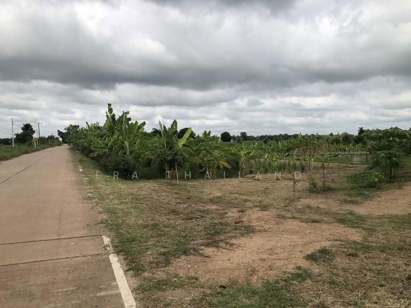 ขายบ้านเดี่ยว บนที่ดิน 6 ไร่, พิษณุโลก, ท่าตาล, บางกระทุ่ม, พิษณุโลก, 143 ตร.ม., บ้านเดี่ยว ขาย, โดย ERA Thailand, 500477999 - DDproperty.com