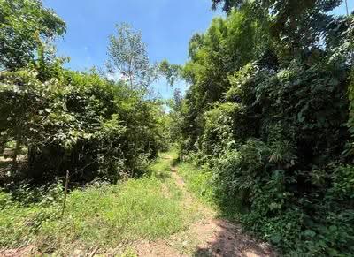 ขาย - ที่ดินกบินทร์บุรี ปราจีนบุรี, ปราจีนบุรี