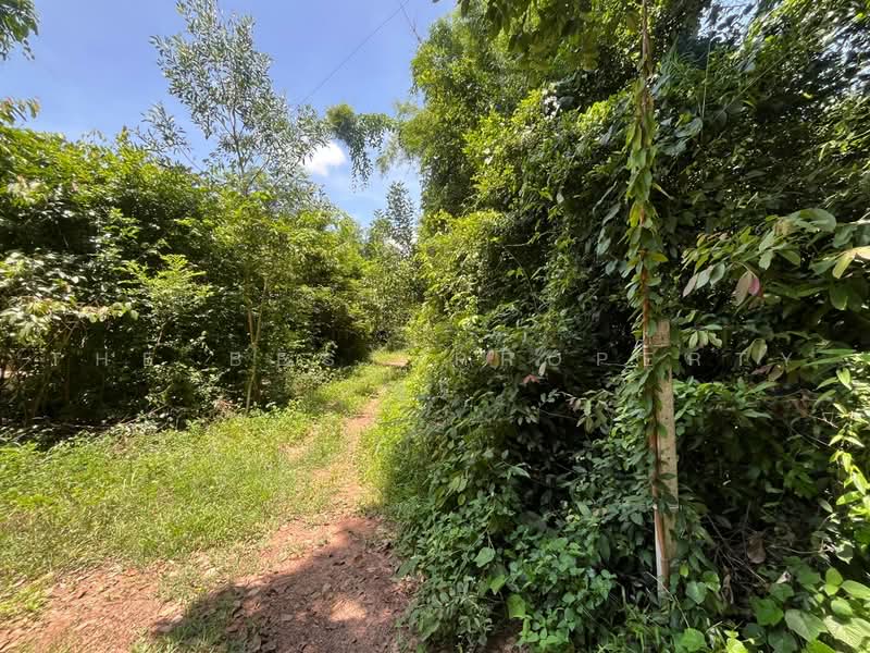 ที่ดินกบินทร์บุรี ปราจีนบุรี, ปราจีนบุรี, กบินทร์, กบินทร์บุรี, ปราจีนบุรี, 3,200 ตร.ม., ที่ดิน ขาย, โดย The Best Property นุ๊ก, 500478010 - DDproperty.com