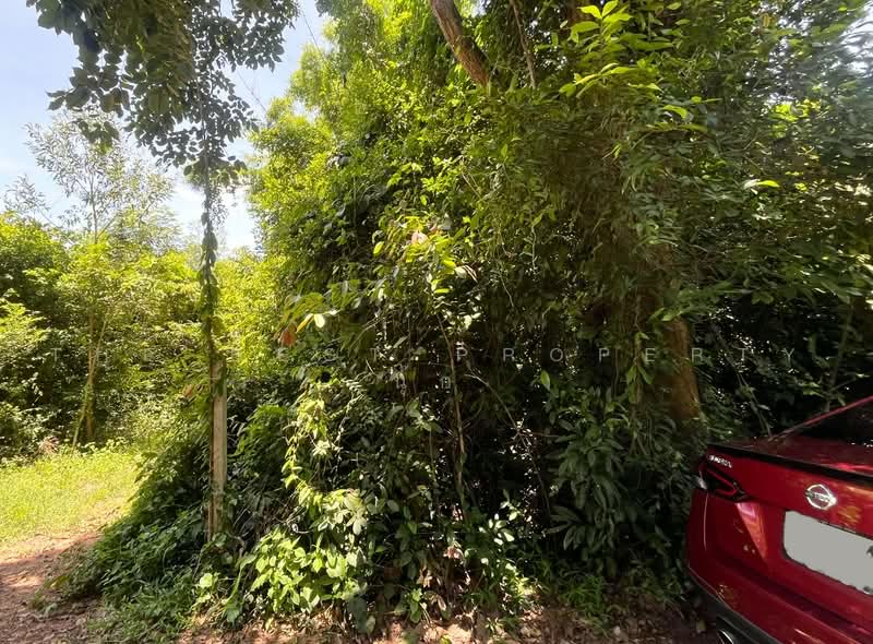 ที่ดินกบินทร์บุรี ปราจีนบุรี, ปราจีนบุรี, กบินทร์, กบินทร์บุรี, ปราจีนบุรี, 3,200 ตร.ม., ที่ดิน ขาย, โดย The Best Property นุ๊ก, 500478010 - DDproperty.com