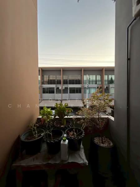 undefined, Bangkok, Prawet, Bangkok, 3 Bedrooms, 204 sqm, Townhouse For Sale, by Pornpan Chantharakasemchai, 500478050 - DDproperty.com