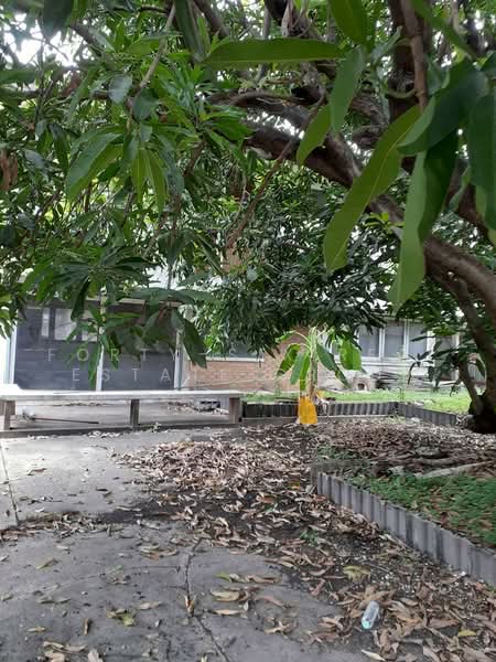ที่ดินพร้อมสิ่งปลูกสร้าง ซอยสุขุมวิท 103/2, Bangkok, Bang Na Nuea, Bang Na, Bangkok, , 808 sqm, Business For Sale, by Forty-Six Real Estate Group, 500478186 - DDproperty.com
