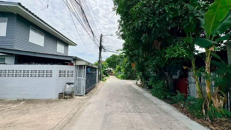 บ้านเดี่ยว 2 ชั้น 50 ตร.ว. ใกล้บิ๊กซี วงศ์สว่าง ซอยปานทิพย์2, Bangkok, ถนนวงศ์สว่าง, Wong Sawang, Bang Sue, Bangkok, 4 Bedrooms, 200 sqm, Single Detached House For Sale, by คุณ กิริยา วรรณารักษ์ (แอฟ), 500478206 - DDproperty.com