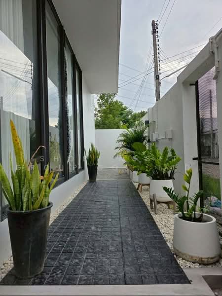 Modern Detached House at Louis Intersection, Chiang Mai, San Ton Pao, San Kamphaeng, Chiang Mai, 3 Bedrooms, 300 sqm, Single Detached House For Sale, by Shori Asset Group Co., Ltd., 500478226 - DDproperty.com