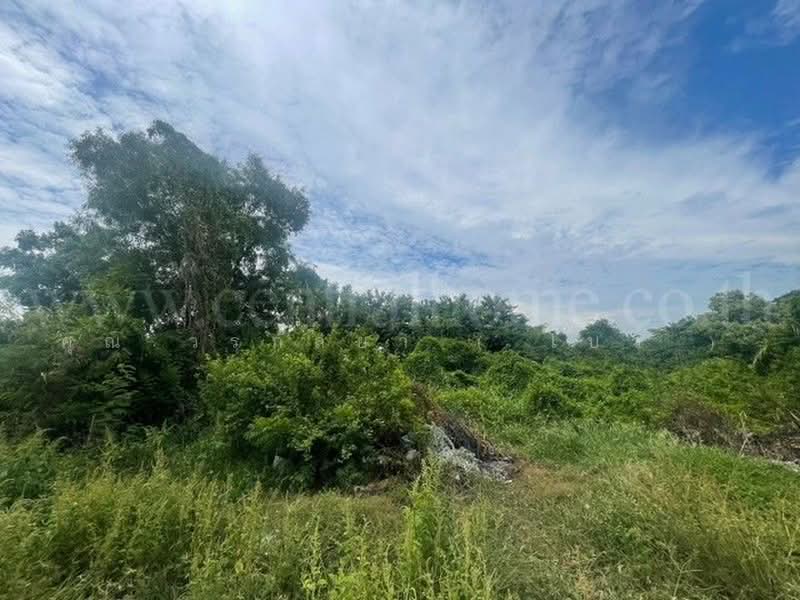 โยธาธิการ สมุทรปราการ 2032, Samut Prakan, Bang Sao Thong, Samut Prakan, , 1,600 sqm, Land For Sale, by คุณ วรกัลยา ( โบว์ ), 500478359 - DDproperty.com