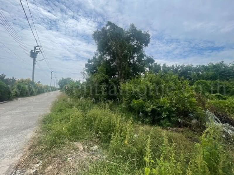 โยธาธิการ สมุทรปราการ 2032, สมุทรปราการ, บางเสาธง, สมุทรปราการ, 1,600 ตร.ม., ที่ดิน ขาย, โดย คุณ วรกัลยา ( โบว์ ), 500478359 - DDproperty.com