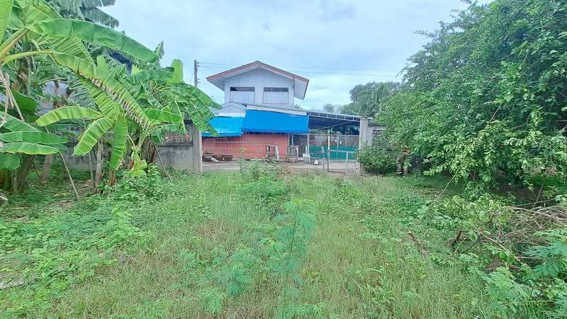 ที่ดินบ้านปรก สมุทรสงคราม, สมุทรสงคราม, บ้านปรก, เมืองสมุทรสงคราม, สมุทรสงคราม, 672 ตร.ม., ที่ดิน ขาย, โดย The Best Property น้อง, 500478367 - DDproperty.com