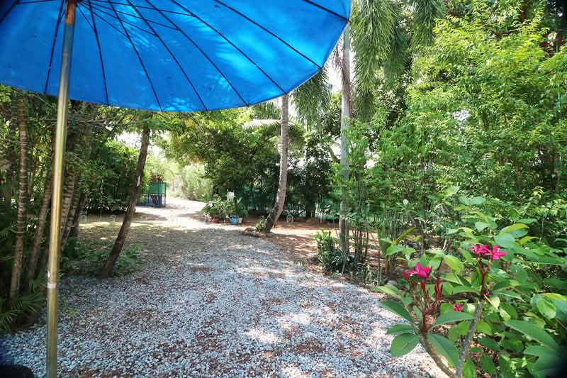 ขายบ้านเดี่ยว 1 ห้องนอนพร้อมสวนสวย หนองลี่หู อุดรธานี, อุดรธานี, สามพร้าว, เมืองอุดรธานี, อุดรธานี, 70 ตร.ม., บ้านเดี่ยว ขาย, โดย วีรภัทรา ดาร์เปอร์, 500478408 - DDproperty.com