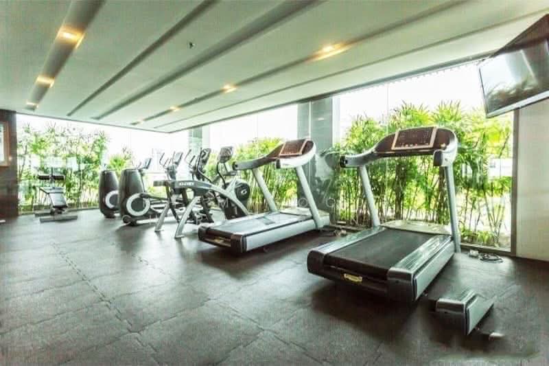Aequa Sukhumvit 49, Bangkok, Soi Sukhumvit 49, Sukhumvit Road, Khlong Tan Nua, Watthana, Bangkok, 1 Bedroom, 52 sqm, Condo For Rent, by Khemasooch Chiraburanan, 500478424 - DDproperty.com