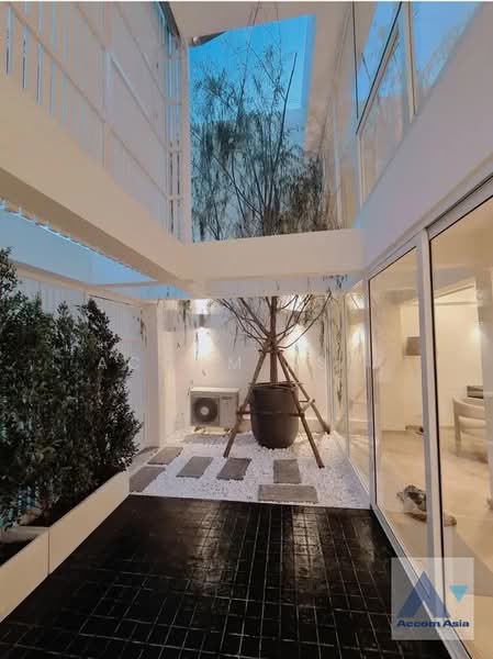 Pet friendly 3 Bedrooms Townhouse for Sale and Rent in Sukhumvit, Bangkok near BTS Phra khanong at M, กรุงเทพ, คลองตันเหนือ, วัฒนา, กรุงเทพ, 250 ตร.ม., ทาวน์เฮ้าส์ ขาย, โดย Accom Asia, 500478523 - DDproperty.com