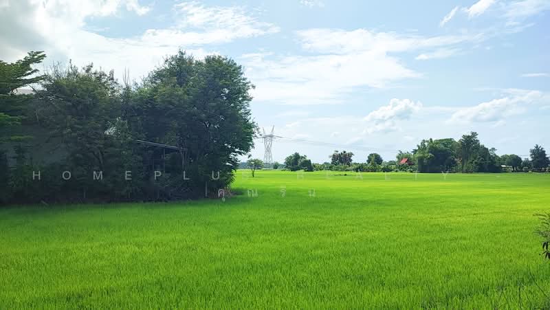 ที่ดินพร้อมสิ่งปลูกสร้าง 15 ไร่กว่า ติดถนน อย.2022 อำเภอภาชี อยุธยา, พระนครศรีอยุธยา, ไผ่ล้อม, ภาชี, พระนครศรีอยุธยา, 24,456 ตร.ม., ที่ดิน ขาย, โดย HOMEPLUS REALTY - คุณริน, 500478574 - DDproperty.com