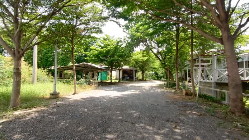 For Sale – Land with Buildings, 15+ Rai, Phachi District, Ayutthaya, Phra Nakhon Si Ayutthaya, Phai Lom, Phachi, Phra Nakhon Si Ayutthaya, , 24,456 sqm, Land For Sale, by HOMEPLUS REALTY - คุณริน, 500478574 - DDproperty.com