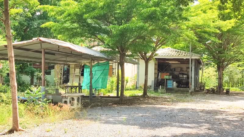 For Sale – Land with Buildings, 15+ Rai, Phachi District, Ayutthaya, Phra Nakhon Si Ayutthaya, Phai Lom, Phachi, Phra Nakhon Si Ayutthaya, , 24,456 sqm, Land For Sale, by HOMEPLUS REALTY - คุณริน, 500478574 - DDproperty.com