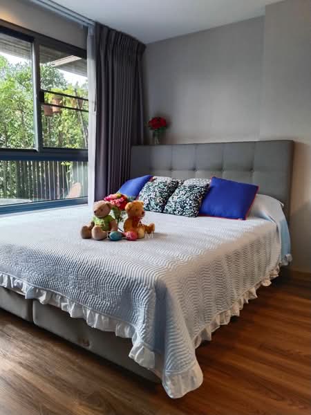 IDEO Sukhumvit 93, Bangkok, 2331 Soi Sukhumvit 93, Bang Chak, Phra Khanong, Bangkok, 1 Bedroom, 45 sqm, Condo For Rent, by Phakawadee Jiramanee, 500478641 - DDproperty.com