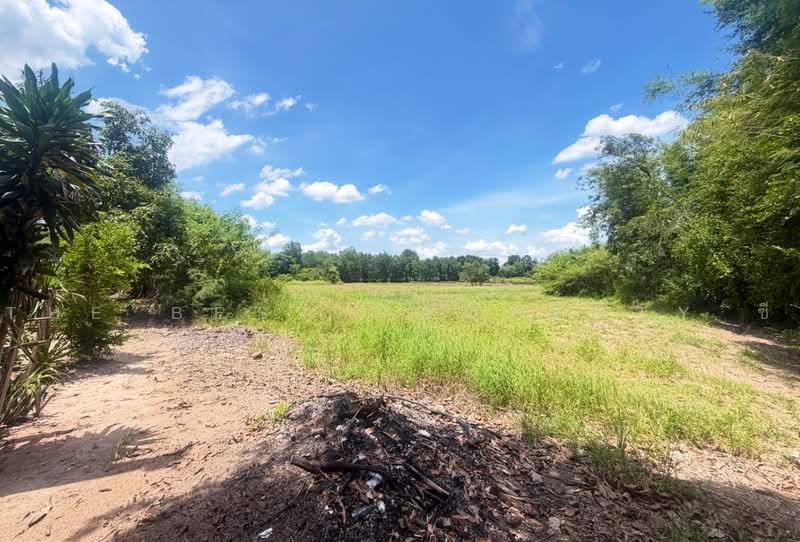ที่ดินพนมสารคาม ฉะเชิงเทรา, Chachoengsao, Khao Hin Son, Phanom Sarakham, Chachoengsao, , 20,380 sqm, Land For Sale, by The Best Property ซี, 500478900 - DDproperty.com