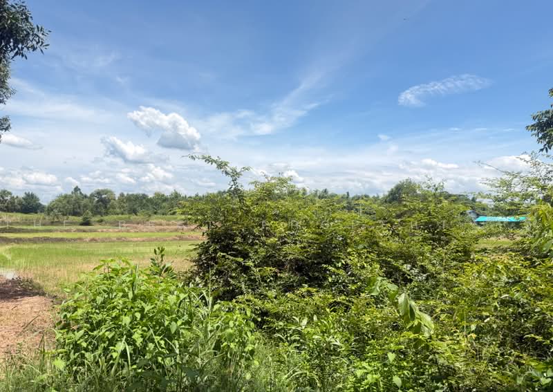 ที่ดินพนมสารคาม ฉะเชิงเทรา, ฉะเชิงเทรา, เขาหินซ้อน, พนมสารคาม, ฉะเชิงเทรา, 20,380 ตร.ม., ที่ดิน ขาย, โดย The Best Property ซี, 500478900 - DDproperty.com