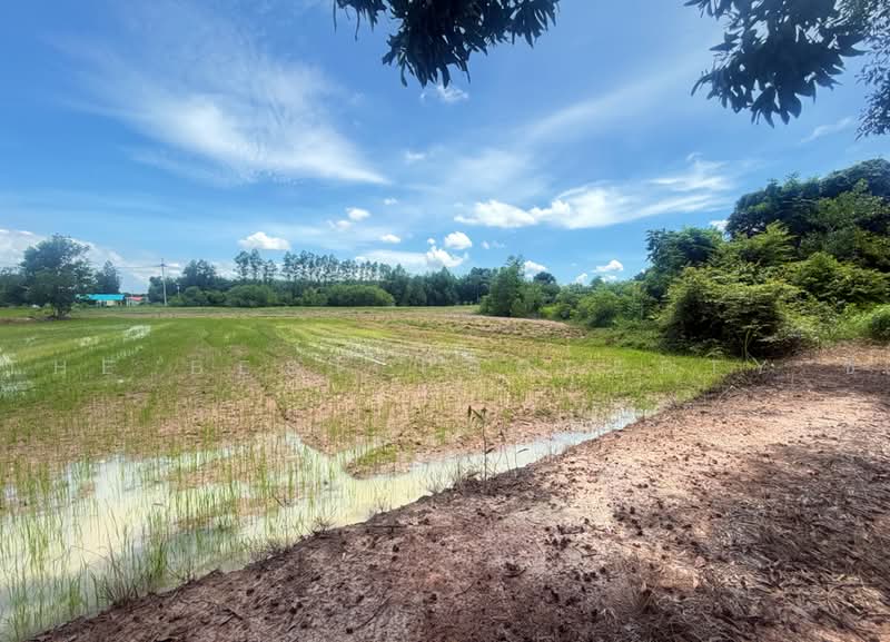 ที่ดินพนมสารคาม ฉะเชิงเทรา, Chachoengsao, Khao Hin Son, Phanom Sarakham, Chachoengsao, , 20,380 sqm, Land For Sale, by The Best Property ซี, 500478900 - DDproperty.com