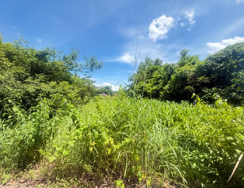 ที่ดินพนมสารคาม ฉะเชิงเทรา, Chachoengsao, Khao Hin Son, Phanom Sarakham, Chachoengsao, , 20,380 sqm, Land For Sale, by The Best Property ซี, 500478900 - DDproperty.com