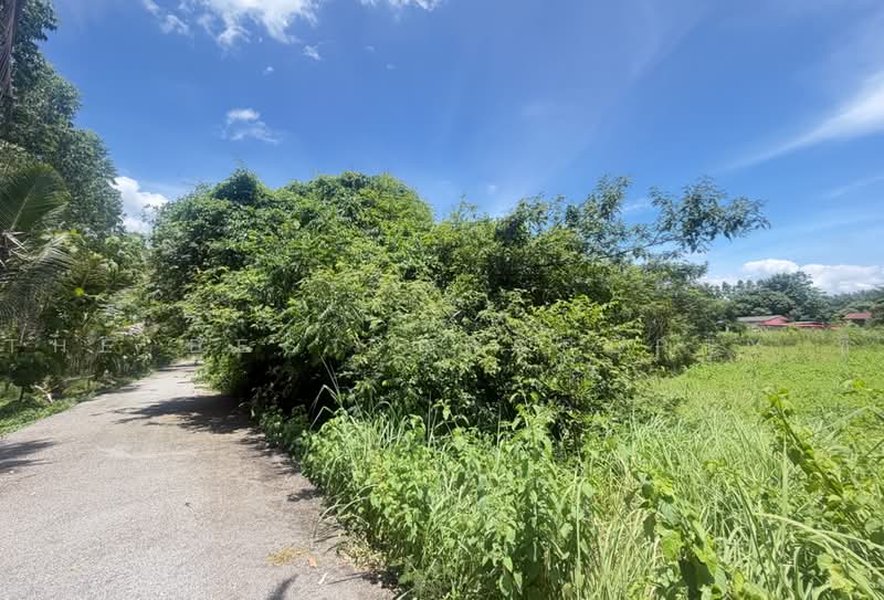ที่ดินพนมสารคาม ฉะเชิงเทรา, Chachoengsao, Khao Hin Son, Phanom Sarakham, Chachoengsao, , 20,380 sqm, Land For Sale, by The Best Property ซี, 500478900 - DDproperty.com