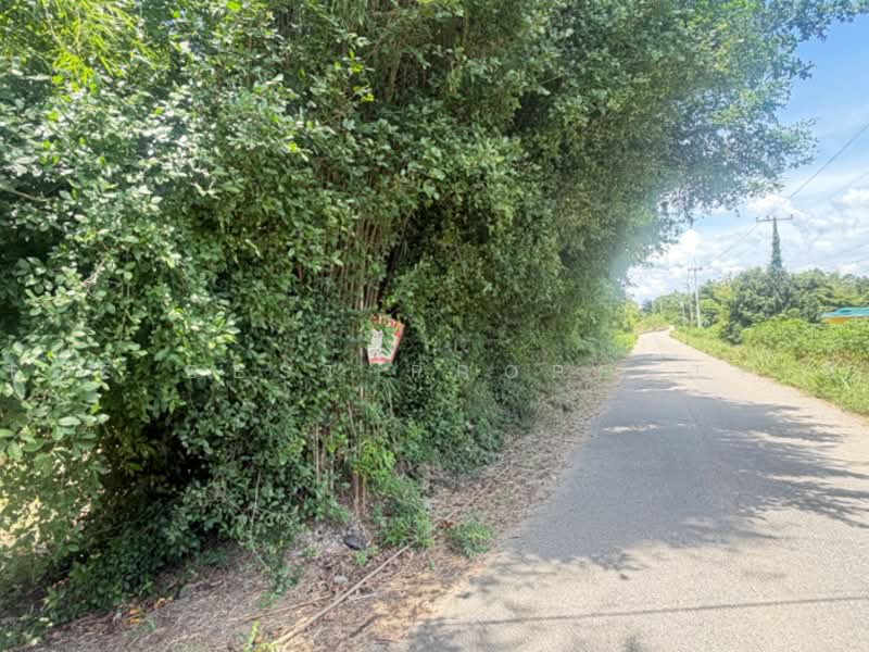 ที่ดินพนมสารคาม ฉะเชิงเทรา, Chachoengsao, Khao Hin Son, Phanom Sarakham, Chachoengsao, , 20,380 sqm, Land For Sale, by The Best Property ซี, 500478900 - DDproperty.com