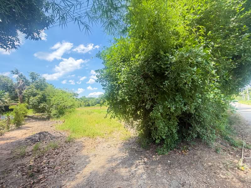 ที่ดินพนมสารคาม ฉะเชิงเทรา, Chachoengsao, Khao Hin Son, Phanom Sarakham, Chachoengsao, , 20,380 sqm, Land For Sale, by The Best Property ซี, 500478900 - DDproperty.com